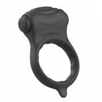 B SWISH - BCHARMED BASIC BLACK - Amore24