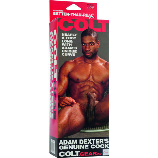 CALEXOTICS - COLT ADAM DEXTERS COCK - Amore24