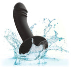 CALEXOTICS - CURVED ANAL STUD - Amore24
