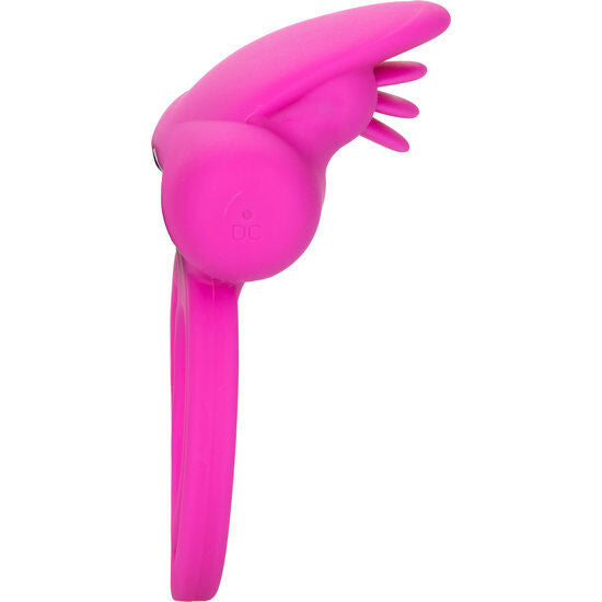 CALEXOTICS - DUAL CLIT FLICKER ENHANCER - Amore24