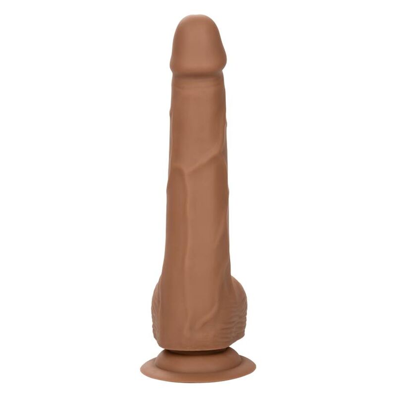 CALEXOTICS - SILICONE STUDS 20.32 CM BROWN - Amore24