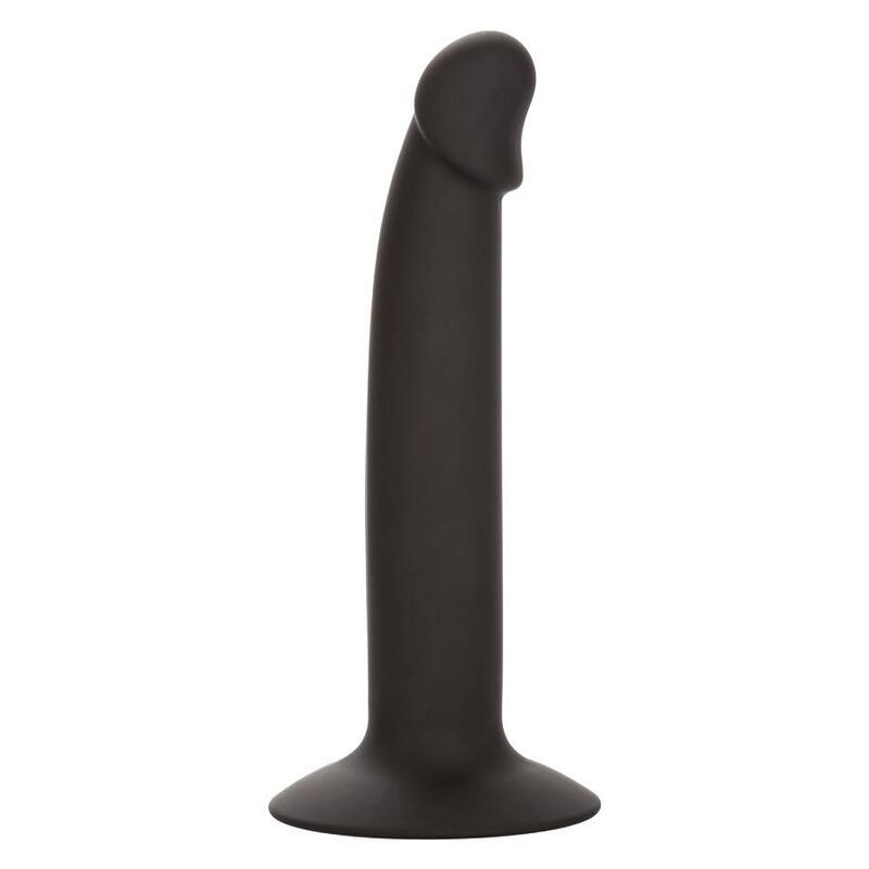 CALEXOTICS - SLIM ANAL STUD - Amore24