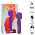 CALEXOTICS - STELLA MASSAGER VIOLET - Amore24