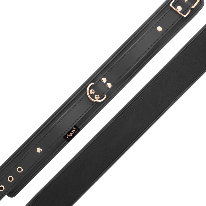 COQUETTE CHIC DESIRE - FANTASY VEGAN LEATHER COLLAR WITH NEOPRENE LINING - Amore24