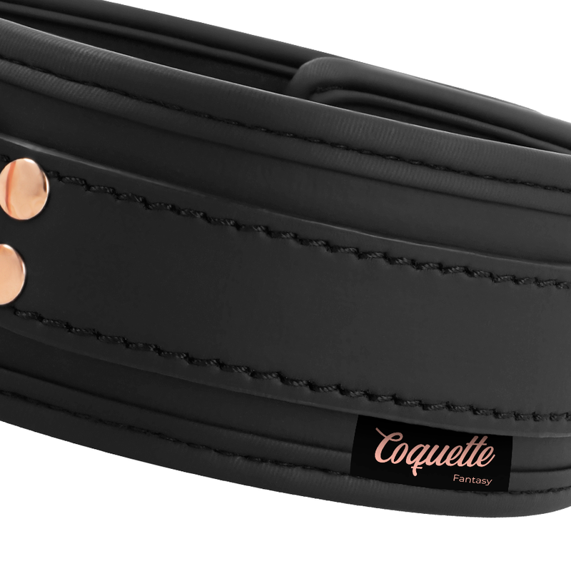 COQUETTE CHIC DESIRE - FANTASY VEGAN LEATHER COLLAR WITH NEOPRENE LINING - Amore24