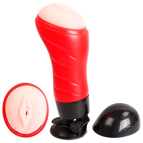CRAZY BULL - VAGINA WITH MASTURBATOR BASE - Amore24