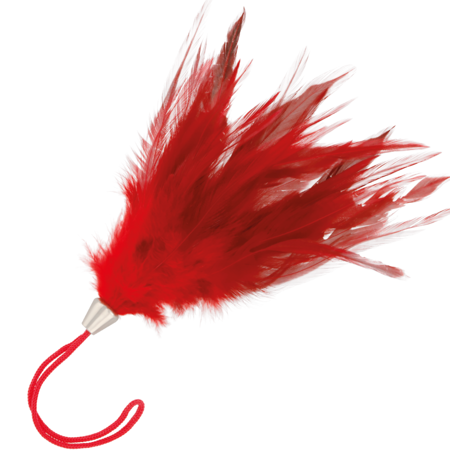 DARKNESS - RED STIMULATING PEN 17CM - Amore24