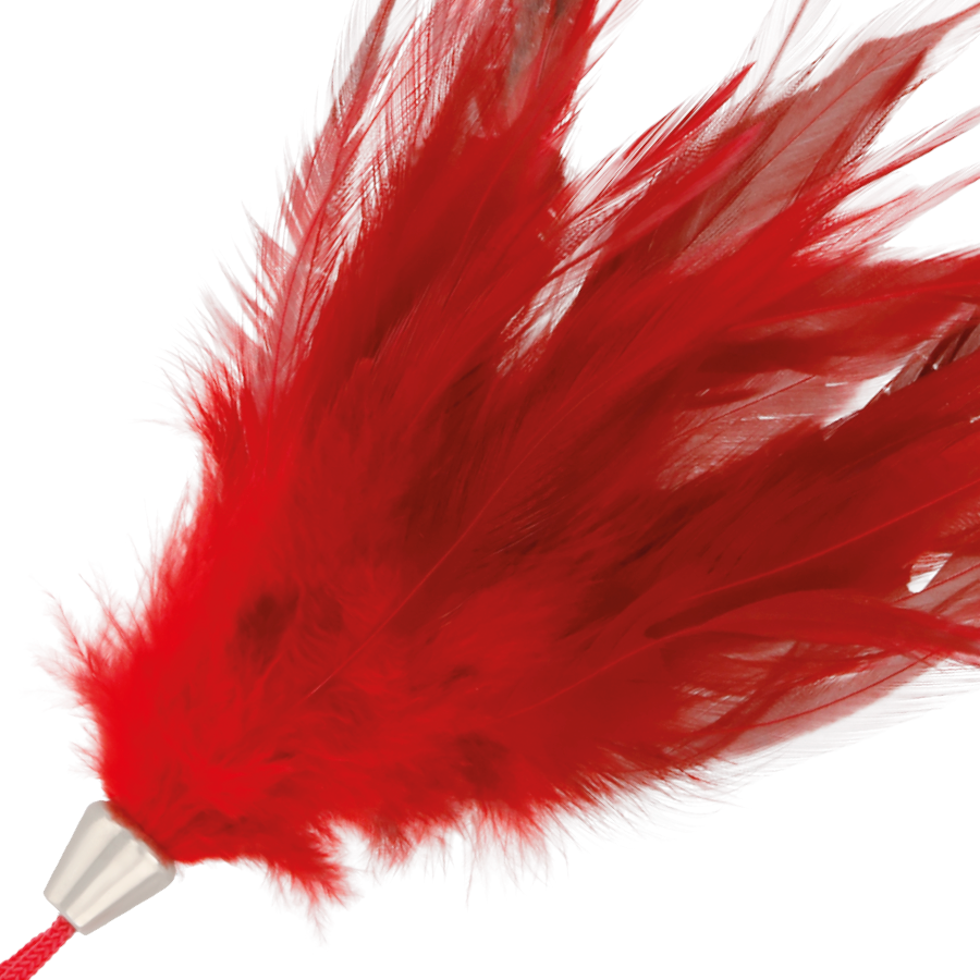 DARKNESS - RED STIMULATING PEN 17CM - Amore24
