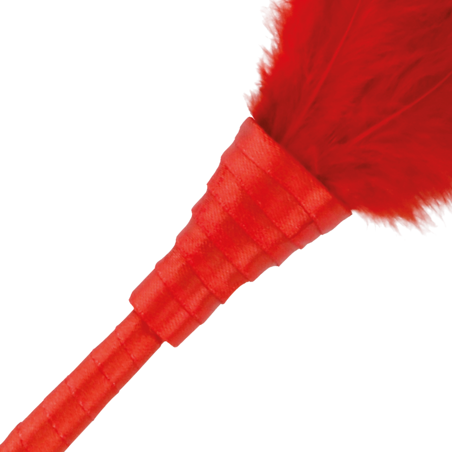 DARKNESS - RED STIMULATING PEN 24CM - Amore24