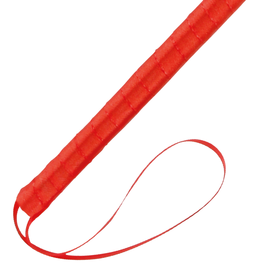 DARKNESS - RED STIMULATING PEN 24CM - Amore24