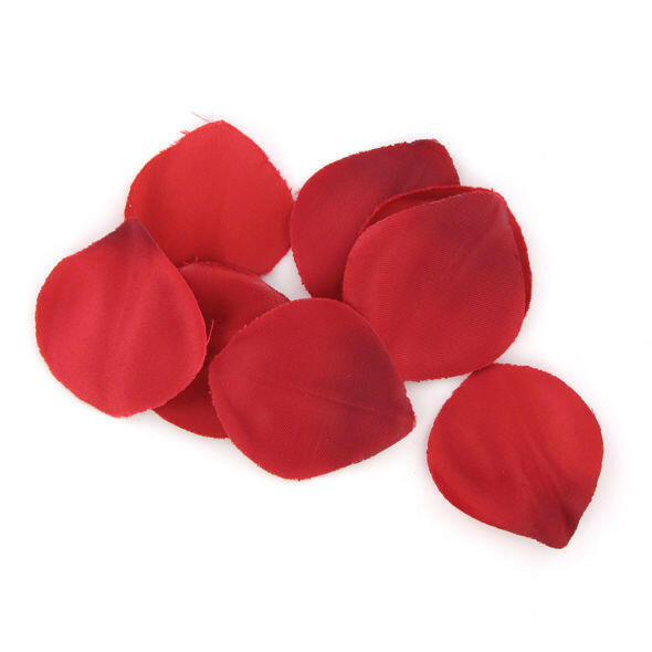 EXTASE SENSUAL - RED TEMPTATION CHEST - Amore24