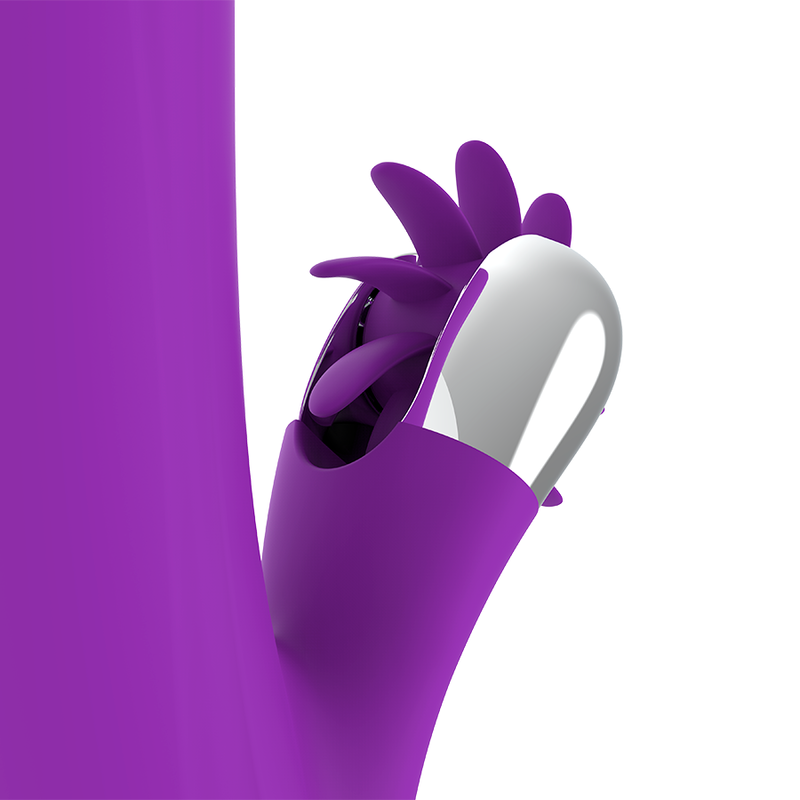 FUN FUNCTION - BUNNY FUNNY ROTATION 2.0 - Amore24
