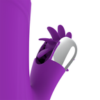 FUN FUNCTION - BUNNY FUNNY UP & DOWN 2.0 - Amore24