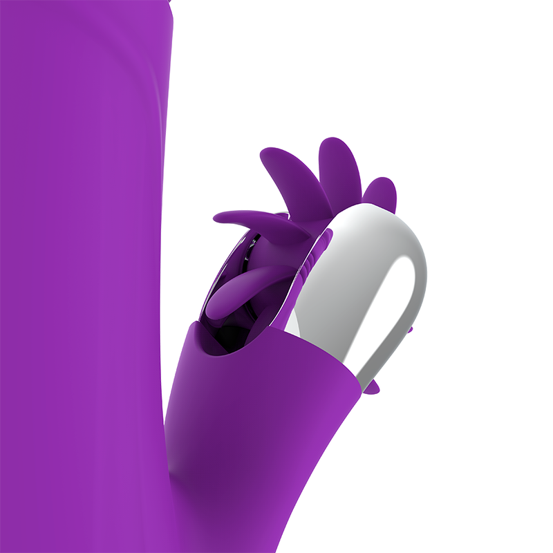 FUN FUNCTION - BUNNY FUNNY UP & DOWN 2.0 - Amore24
