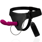 HARNESS ATTRACTION - RNES WALTER WITH VIBRATION 15.5 CM -O- 3.7 CM - Amore24
