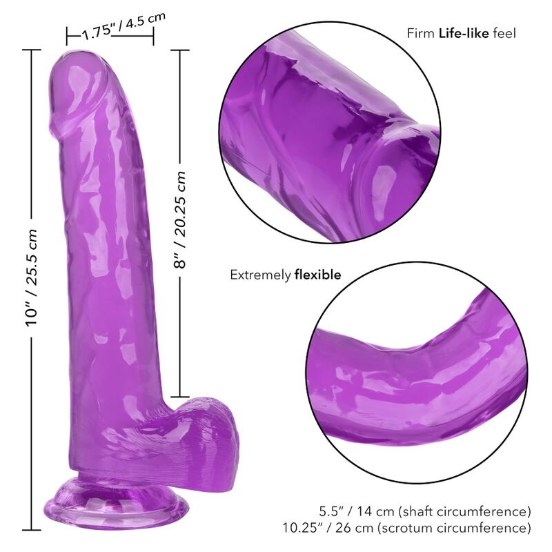 CALEXOTICS - SIZE QUEEN DILDO PURPLE 20.3 CM - Amore24