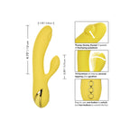 CALEXOTICS - SAN DIEGO SEDUCTION - Amore24