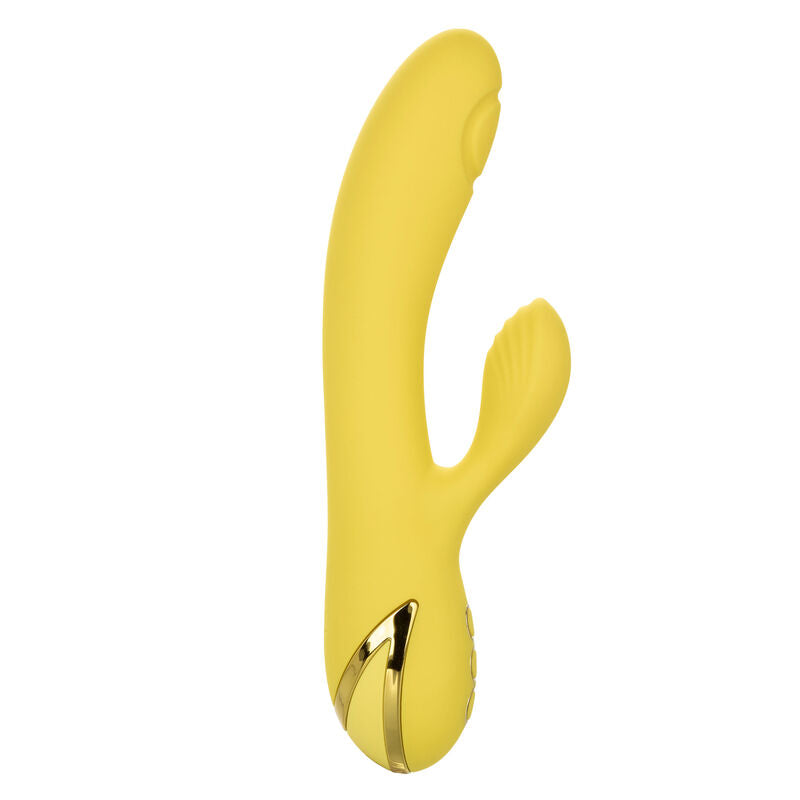 CALEXOTICS - SAN DIEGO SEDUCTION - Amore24