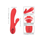 CALEXOTICS - PALISADES PASSION RED - Amore24
