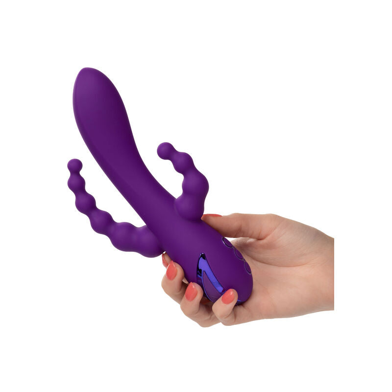 CALEXOTICS - LONG BEACH BOOTYLICIOUS PURPLE - Amore24