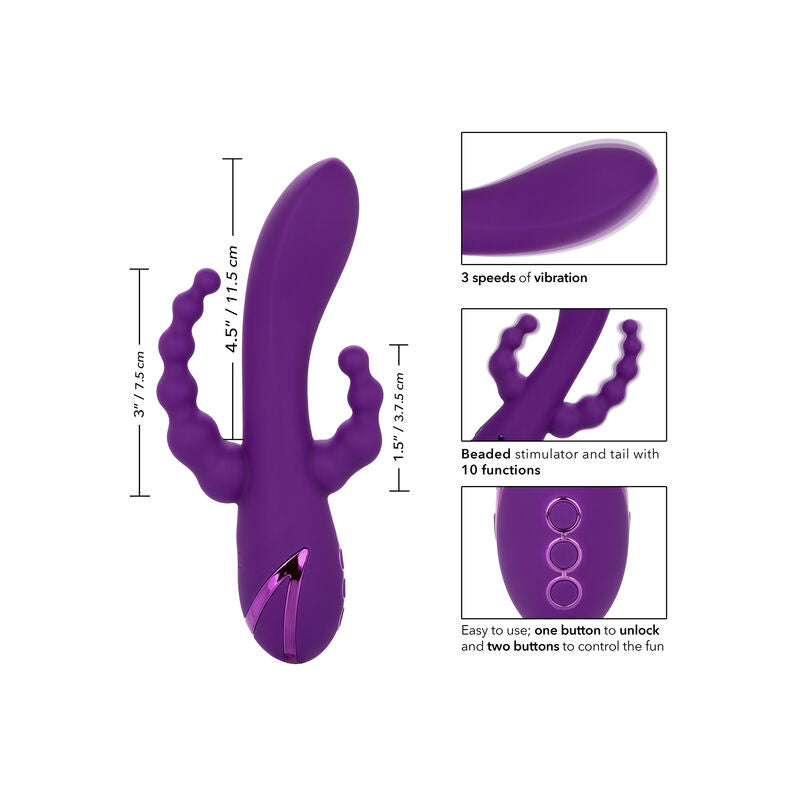 CALEXOTICS - LONG BEACH BOOTYLICIOUS PURPLE - Amore24