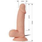 BAILE - BEAUTIFUL ENCOUNTER ZEBULON VIBRATION 19.4 CM NATURAL - Amore24