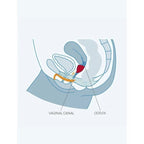 FUN FACTORY - FUN CUP SINGLE SIZE A TURQUOISE - Amore24