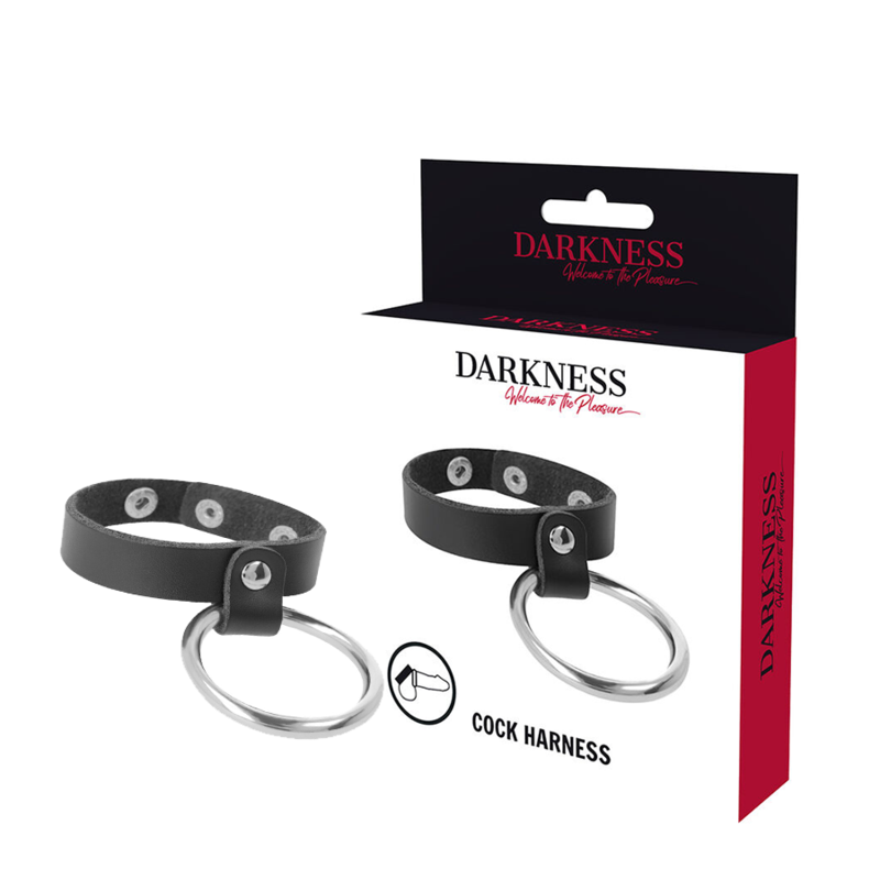 DARKNESS - METAL RING FOR THE PENIS AND TESTICLES - Amore24
