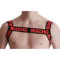 MACHO - RED HARNESS - Amore24