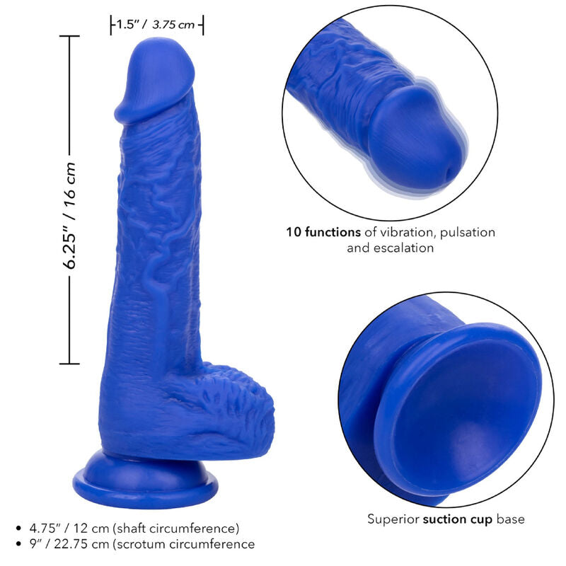 CALEXOTICS - ADMIRAL SAILOR REALISTIC DILDO VIBRATOR BLUE - Amore24