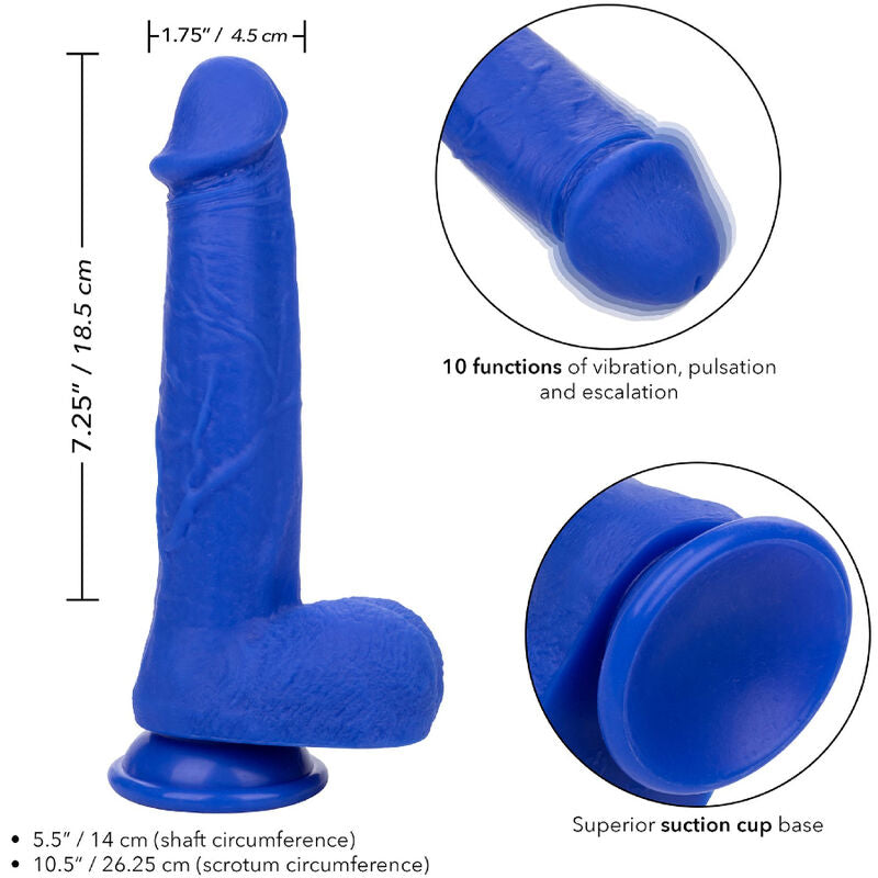 CALEXOTICS - ADMIRAL CAPTAIN REALISTIC DILDO VIBRATOR BLUE - Amore24
