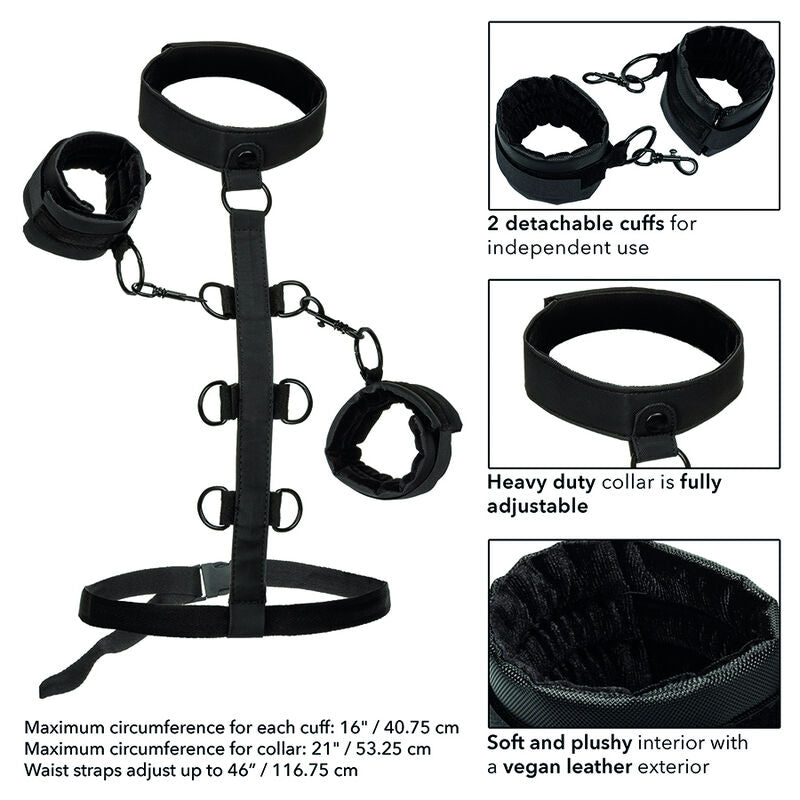 CALEXOTICS - BOUNDLESS COLLAR BODY RESTRAINT - Amore24