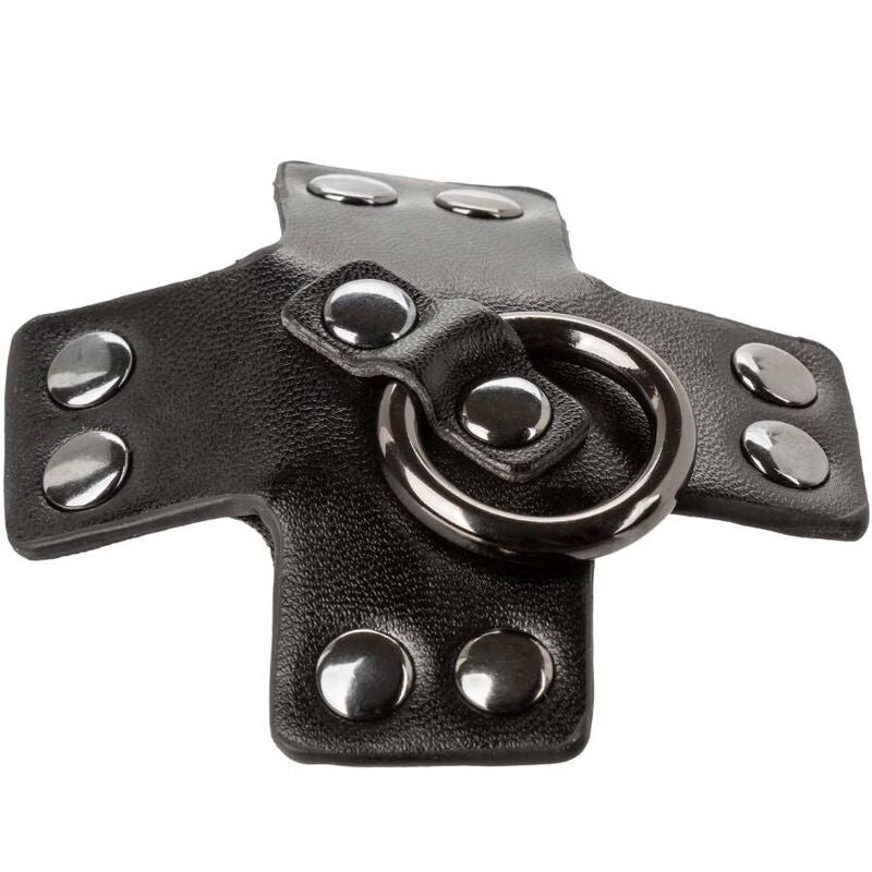 CALEXOTICS - EUPHORIA O-RING BLACK - Amore24