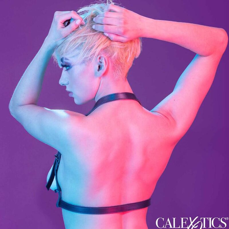 CALEXOTICS - EUPHORIA HALTER BUCKLE HARNESS BLACK - Amore24