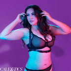 CALEXOTICS - EUPHORIA PLUS SIZE HALTER BUCKLE HARNESS BLACK - Amore24