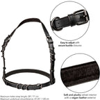 CALEXOTICS - EUPHORIA PLUS SIZE HALTER BUCKLE HARNESS BLACK - Amore24