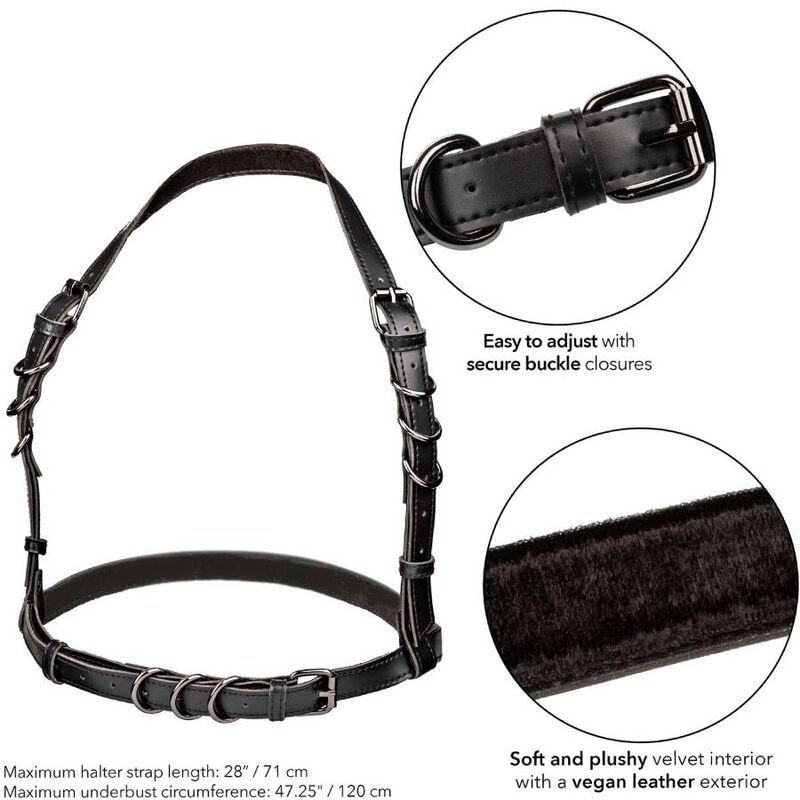 CALEXOTICS - EUPHORIA PLUS SIZE HALTER BUCKLE HARNESS BLACK - Amore24