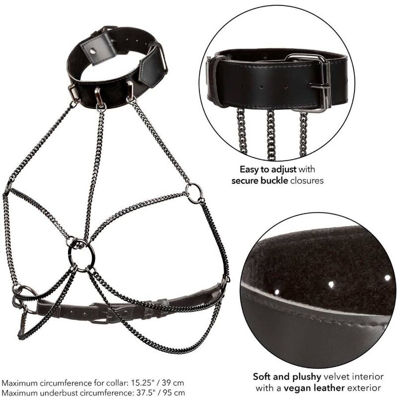 CALEXOTICS - EUPHORIA MULTI CHAIN COLLAR HARNESS - Amore24