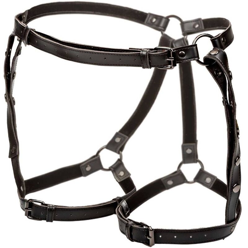 CALEXOTICS - EUPHORIA PLUS SIZE RIDING THIGH HARNESS - Amore24