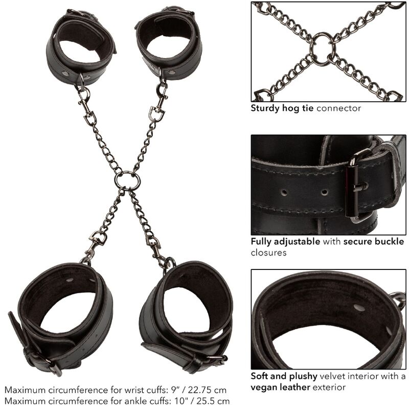 CALEXOTICS - EUPHORIA HOG TIE - Amore24