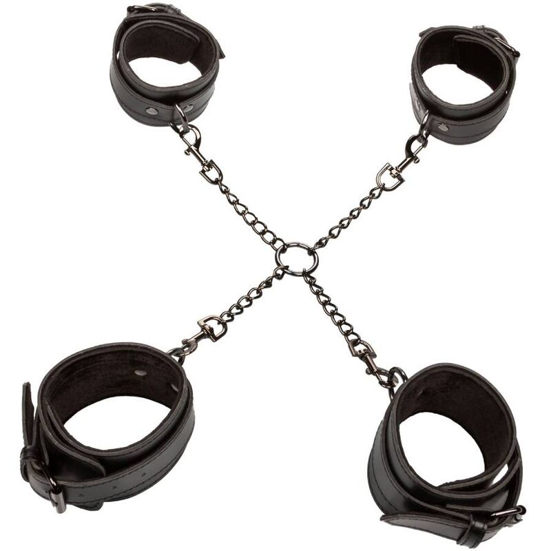 CALEXOTICS - EUPHORIA HOG TIE - Amore24