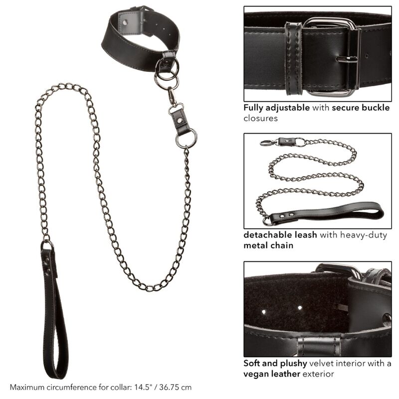 CALEXOTICS - EUPHORIA COLLAR WITH CHAIN LEASH - Amore24