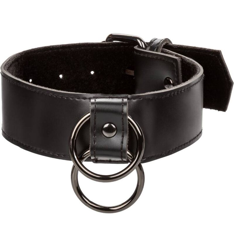 CALEXOTICS - EUPHORIA COLLAR WITH CHAIN LEASH - Amore24