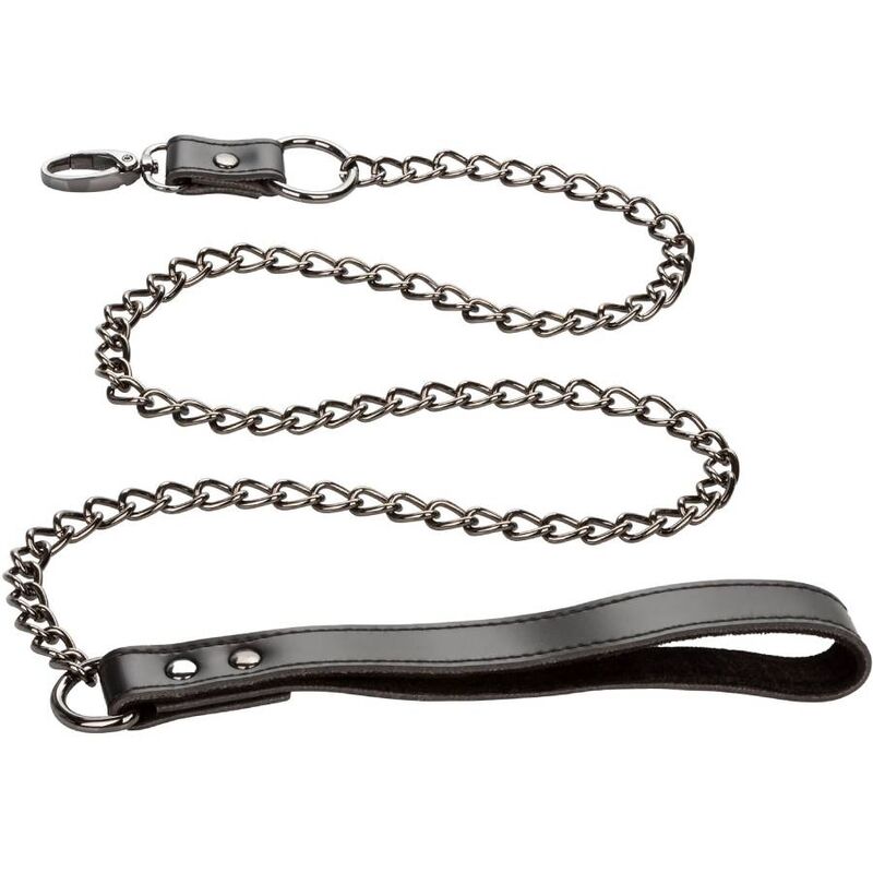 CALEXOTICS - EUPHORIA COLLAR WITH CHAIN LEASH - Amore24
