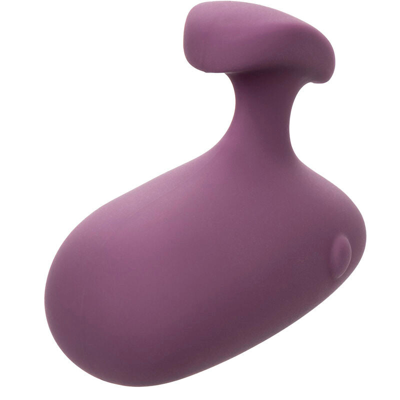 CALEXOTICS - MOD TOUCH STIMULATOR PURPLE - Amore24