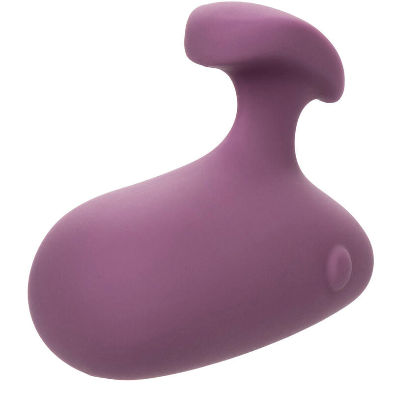 CALEXOTICS - MOD TOUCH STIMULATOR PURPLE - Amore24