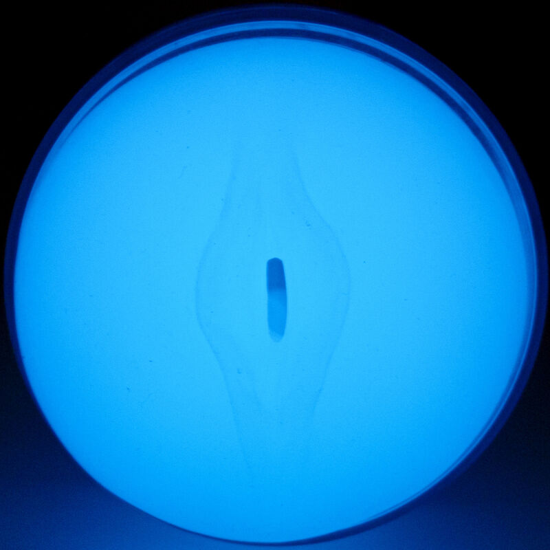 KIIROO - FEEL GLOW IN THE DARK STROKER - Amore24
