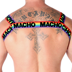 MACHO - DOUBLE HARNESS PRIDE LIMITED - Amore24