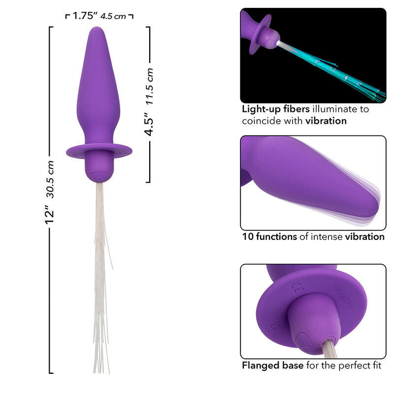CALEXOTICS - SOUTHERN LIGHTS LIGHT UP ANAL PLUG 10 VIBRATIONS SILICONE PURPLE - Amore24