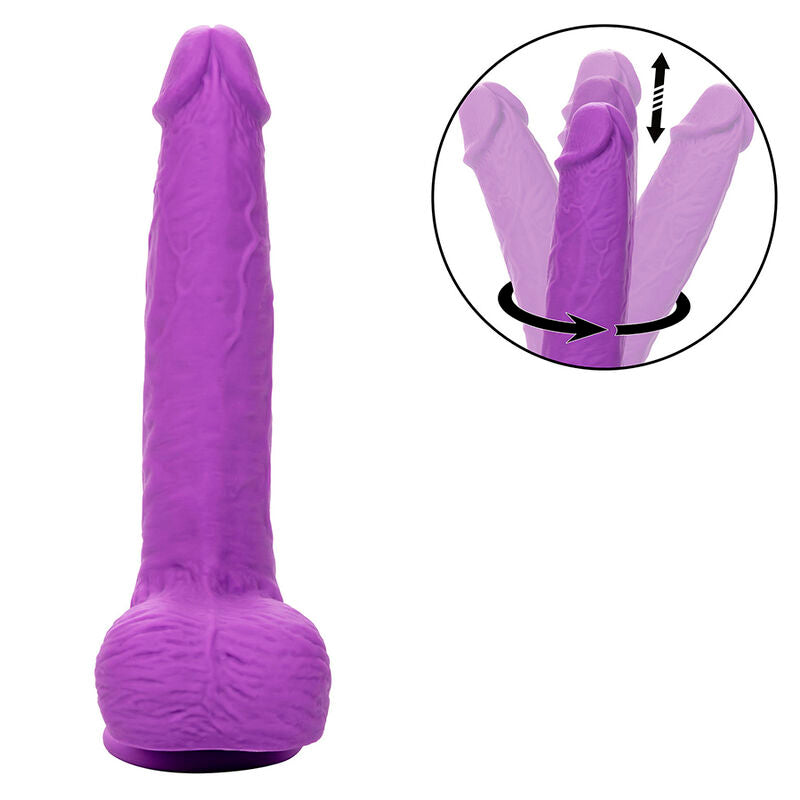 CALEXOTICS - STUDS RECHARGEABLE AND ROTATING VIBRATOR 10 VIBRATIONS PURPLE - Amore24